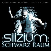 :Silizium: - Schwarz Raum (2011)