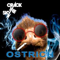 Crack The Sky - Ostrich (2012)