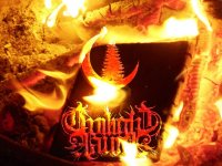 Crown Of Asteria & Twilight Fauna - Spirit Of The Wildwood (Split) (2013)