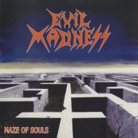 Evil Madness - Maze Of Souls (2010)