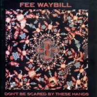 Fee Waybill - Don\'t Be Scared By These Hands (1996)