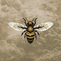 Bees Made Honey In The Vein Tree - Medicine (2017)