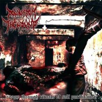 Down From The Wound - Agony Through Rituals Of Self Purification (2007)