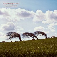 The Pineapple Thief - What We Have Sown (2007)