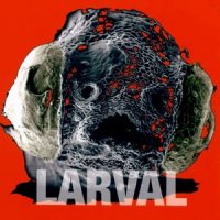 Larval - Larval (1997)