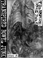 Transpired Bowel Junk - Demo #1 (2012)