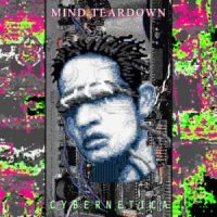 Mind Teardown - Cybernetica (2015)