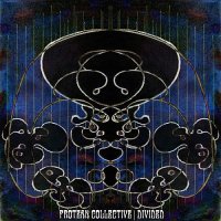 Protean Collective - Divided (2010)