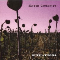 Skyron Orchestra - Situations (2006)  Lossless