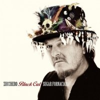 Zucchero - Black Cat (2016)