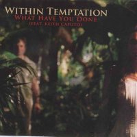 Within Temptation - What Have You Done (2006)