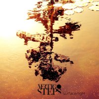 Vertigo Steps - Surface/Light (2012)