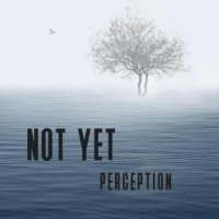 Not Yet - Perception (2016)