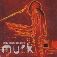 Andy Tillison Diskdrive - Murk (2011)