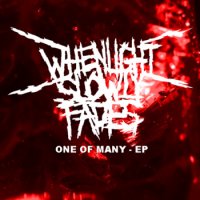 When Light Slowly Fades - One of Many (2014)