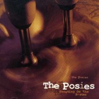 The Posies - Frosting On The Beater (1993)