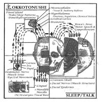 Okkotonushi - Sleep/Talk (2014)