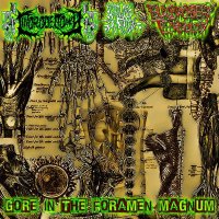 Clitorodectomia & Bloody Obstetric Technology & Cum Book - Gore In The Foramen Magnum [Split] (2015)