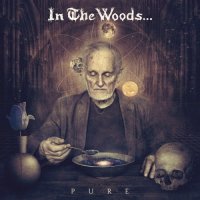 In The Woods... - Pure (2016)