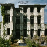 Amoeba Split - Second Split (2016)