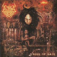 Flash Of Aggression - Seed Of Hate (2013)