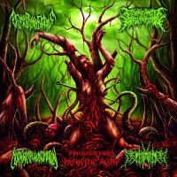 Fermented Masturbation / Decomposition Of Entrails / Morphogenetic Malformation / 注射針混入豚 - Impregnated Through Pathogenic Ago (Split) (2015)