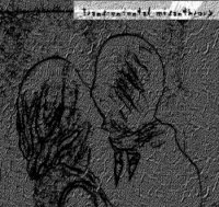 Transcendental Misanthropy - Transcendental Misanthropy (2013)