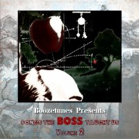 VA - Boozetunes Presents The Songs The Boss Taught Us Vol.02 (2014)