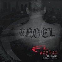 Acylum - The Enemy [2CD Limited Edition] (2009)